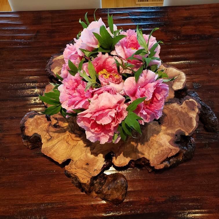 Home Decor & Feature Accent Walls